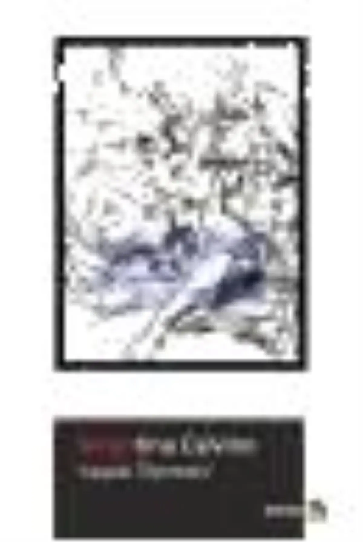 Sergotina Calvino Kitabı