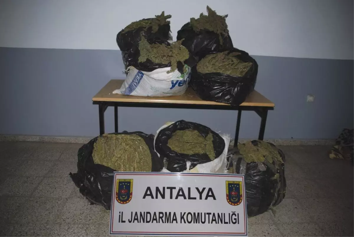 Uyuşturucu Tacirleri 67 Kilo Esrarı Yola Attı