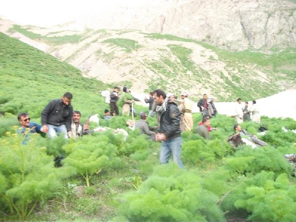 18 Yıl Sonra Köylerine Döndüler