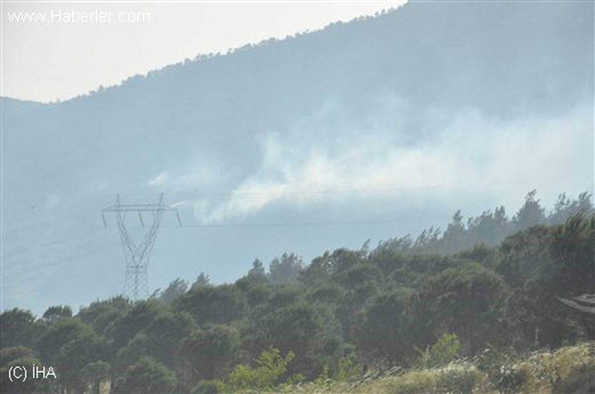 Balıkesir\'de Orman Yangını