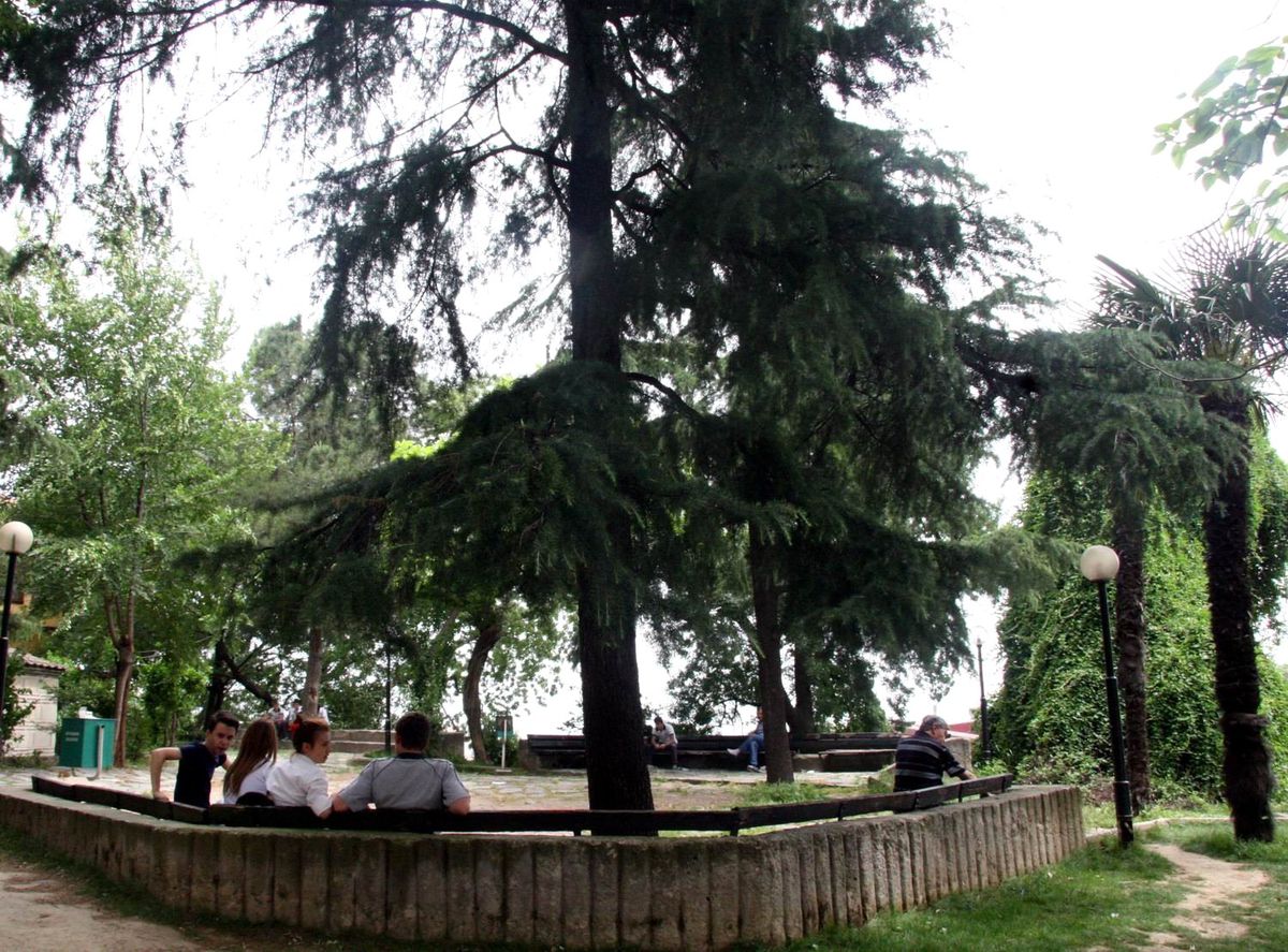Bursa'da Lodos Hayatı Olumsuz Etkiliyor