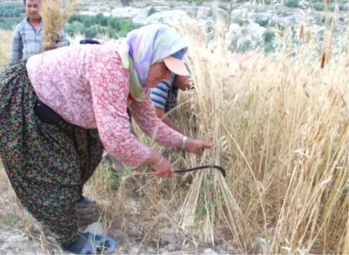 Edirne Ticaret Borsası