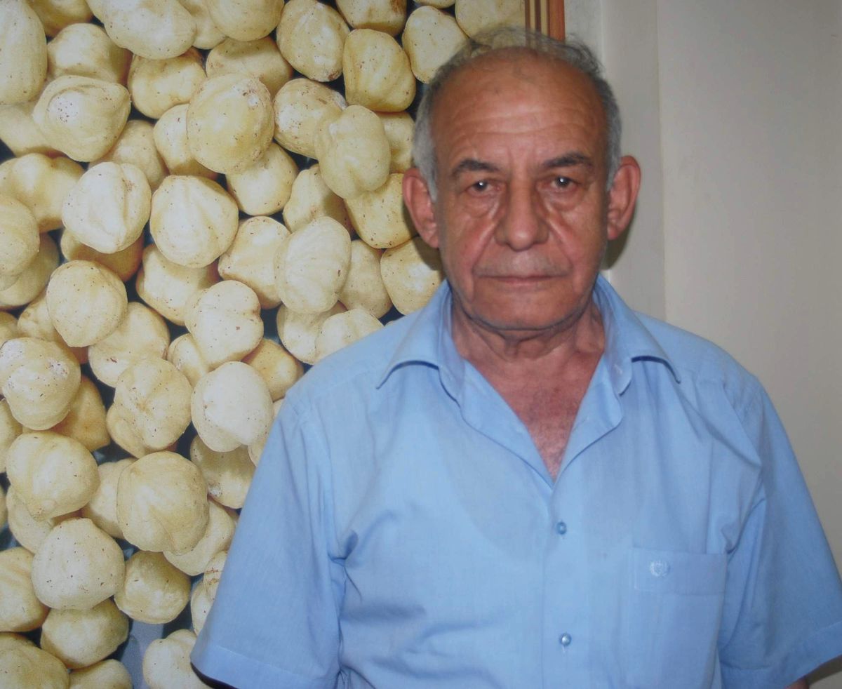 Fındıkta Yanma Riski Bulunuyor