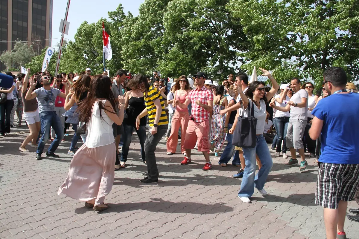 Hava-İş, THY\'yi \'Harlem Shake\' Dansı ile Protesto Etti