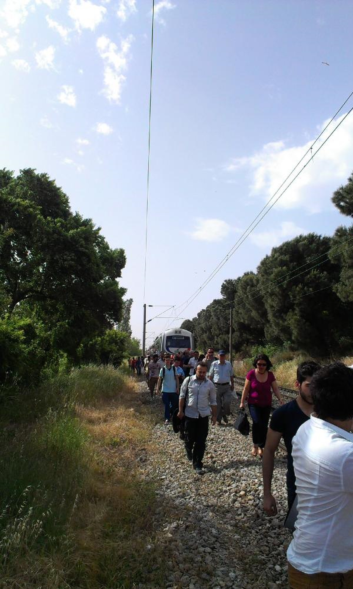 Lodosun Kopardığı Ağaç Trene Çarptı