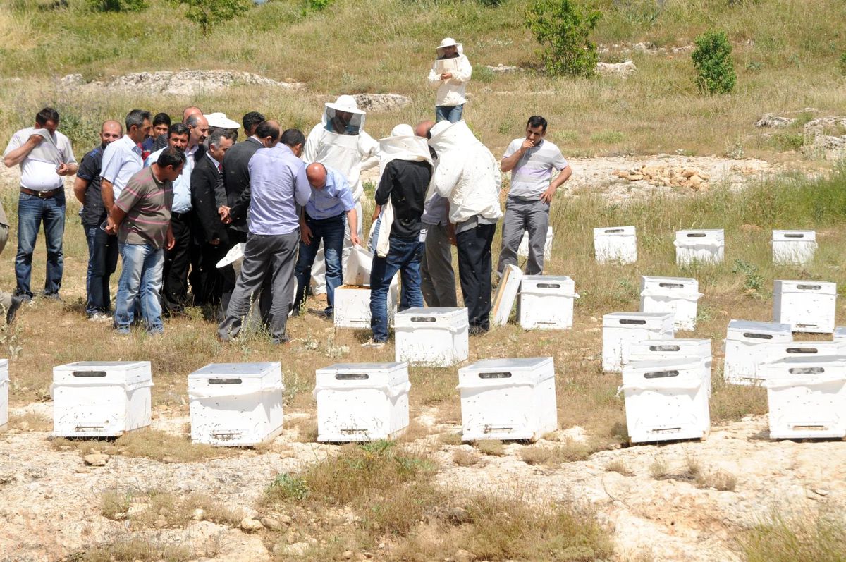 Mardin\'de 50 Bal Üreticisine 418 Adet Polen Tuzaklı Kovan Dağıtıldı