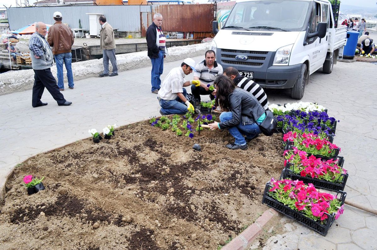 Mudanya Çiçek Açıyor