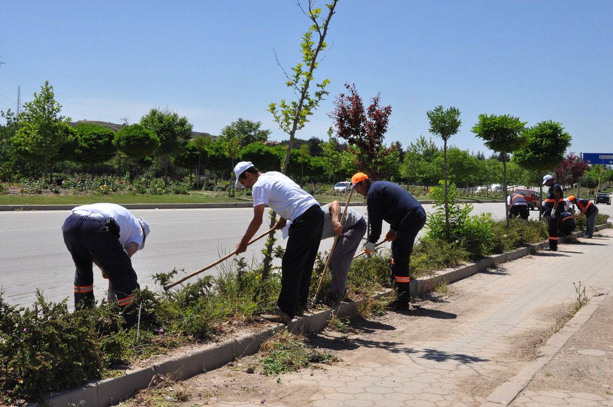 Odunpazarı Belediyesi\'nin Çiçek Dikim Çalışmaları
