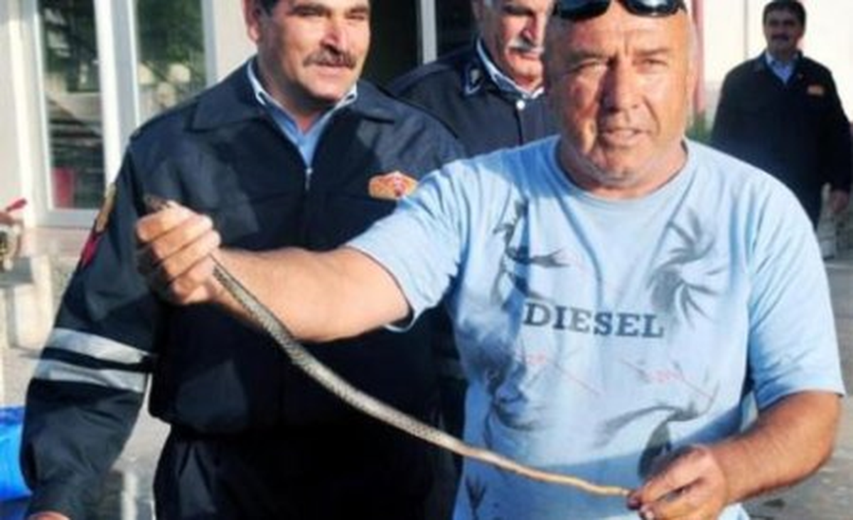 Otomobile Giren Yılana Sinek İlacıyla Müdahale