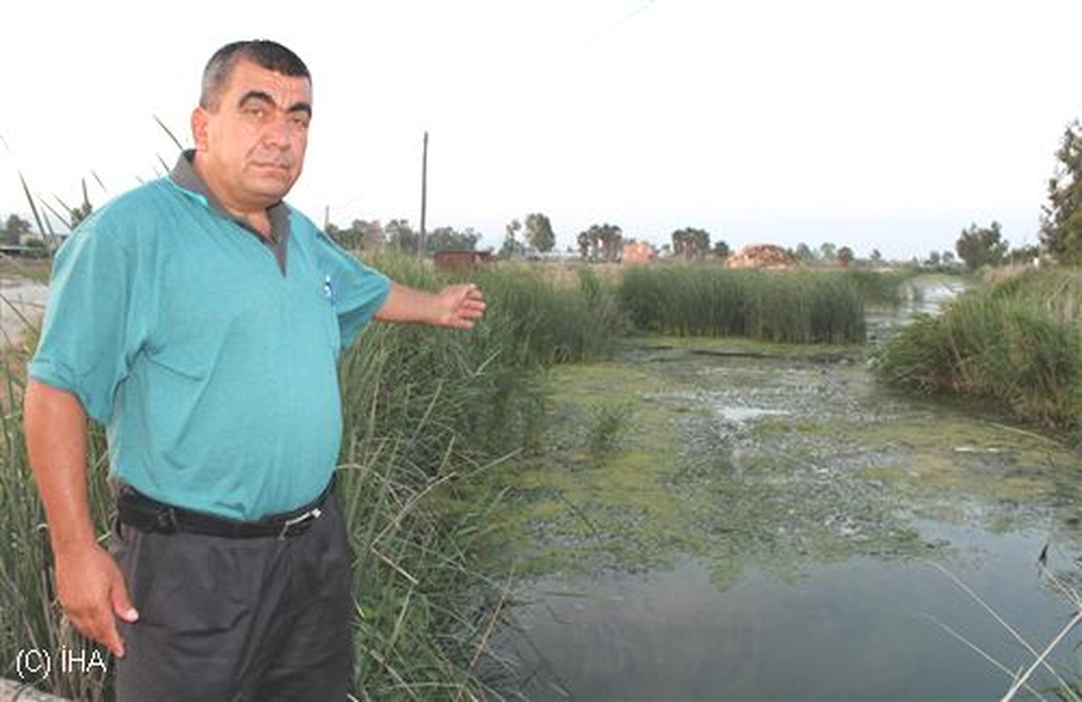 Silifke\'de Balık Ölümleri