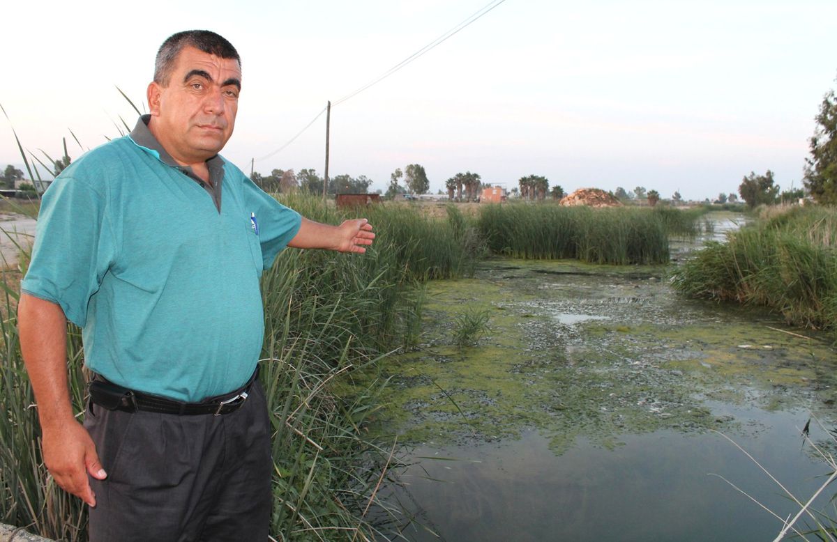 Silifke Özel Çevre Koruma Bölgesinde Balık Ölümleri