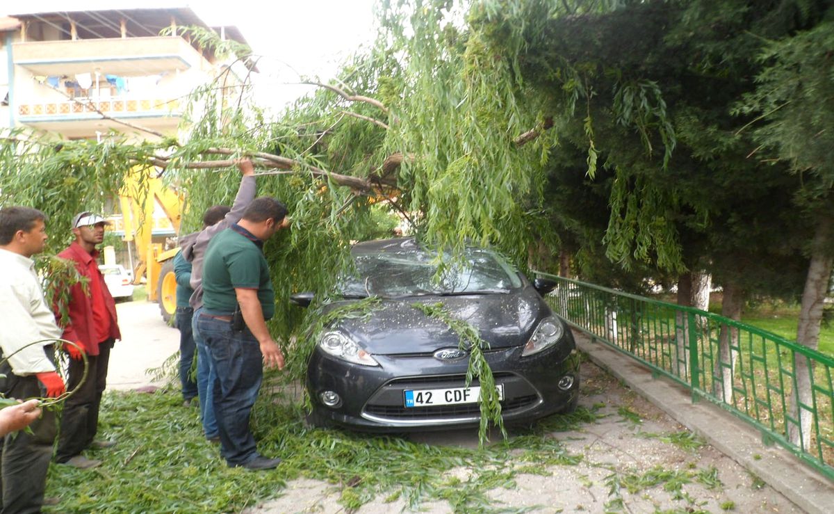 Söğüt Ağacı Otomobilin Üzerine Devrildi