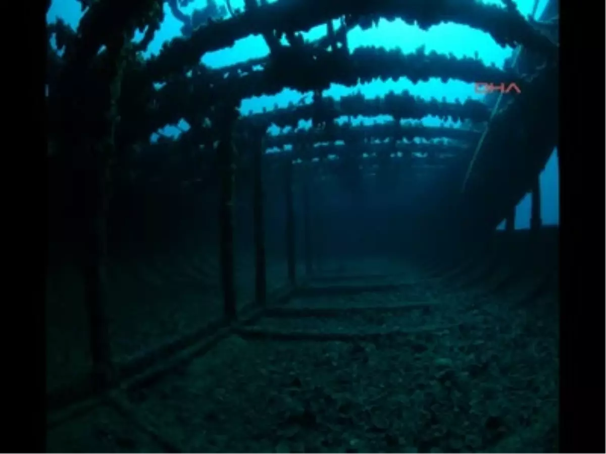 Türkiye\'nin \'Batık\' Zenginlikleri Gün Yüzüne Çıktı