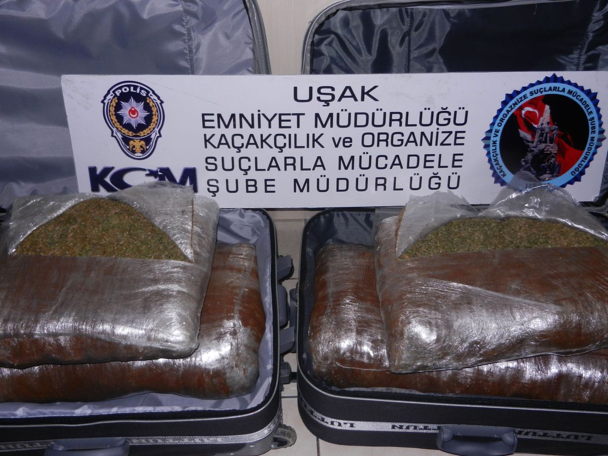 Uşak\'ta Esrar Operasyonu