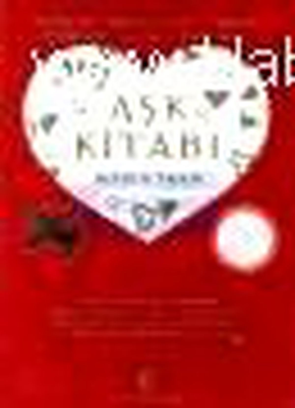 Aşk Kitabı (Büyük Boy) Kitabı