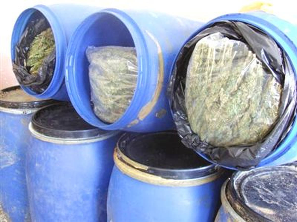 Bingöl'de 227 Kilo Esrar Ele Geçirildi