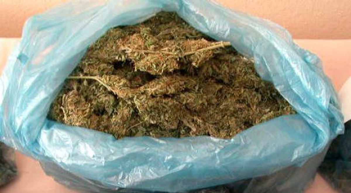 Bingöl\'de 250 Kilo Esrar Yakalandı