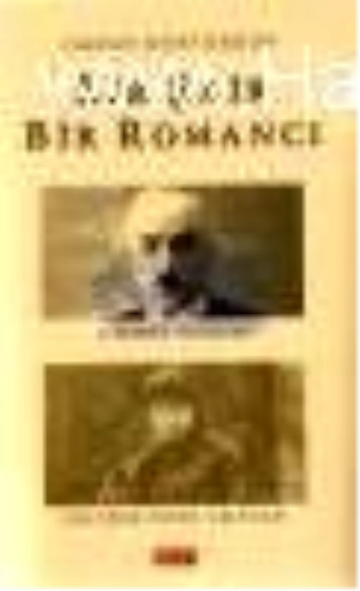 Bir Şair Bir Romancı Kitabı