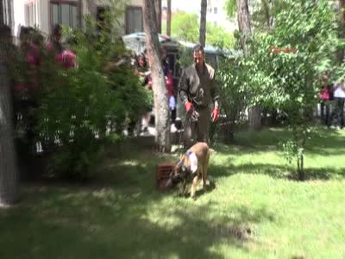 Uyuşturucuyu 10 Saniyede Buldu
