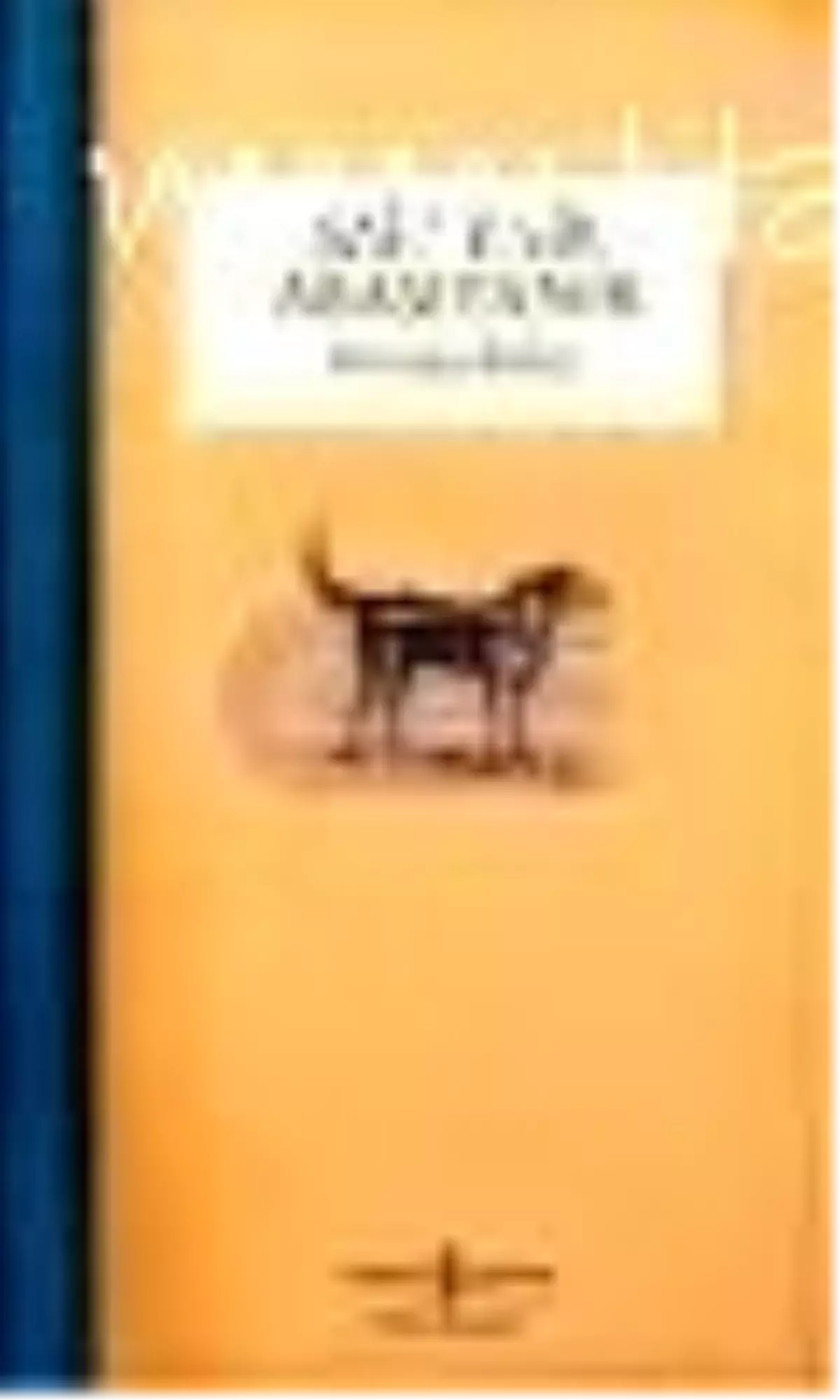 Havada Bulut Kitabı