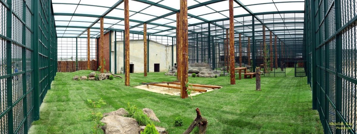 Kayseri\'nin Harikası