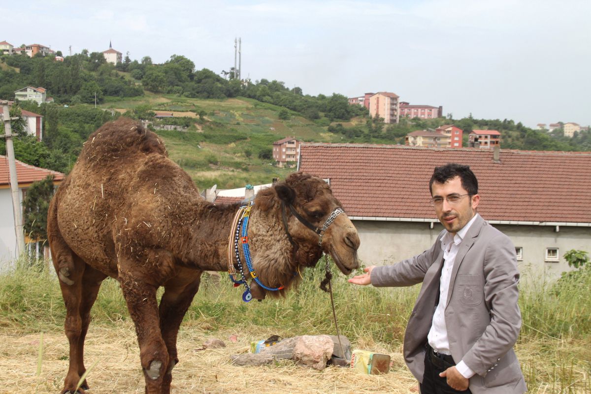 Kermesin Duyurusunu Deve ile Yapacaklar