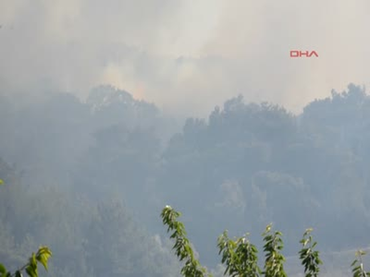 Manisa Alevler, 1.5 Hektarlık Kızılçam Ormanını Kül Etti Alevler, 1.5 Hektarlık Kızılçam Ormanını...