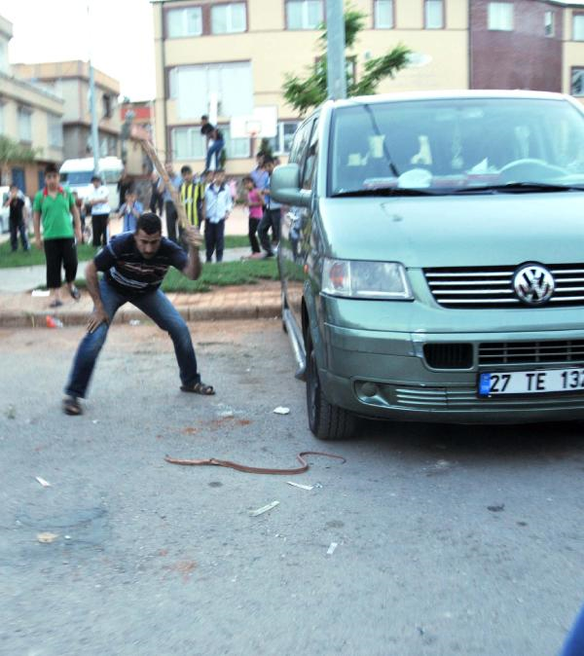 Minibüste Yılan Paniği