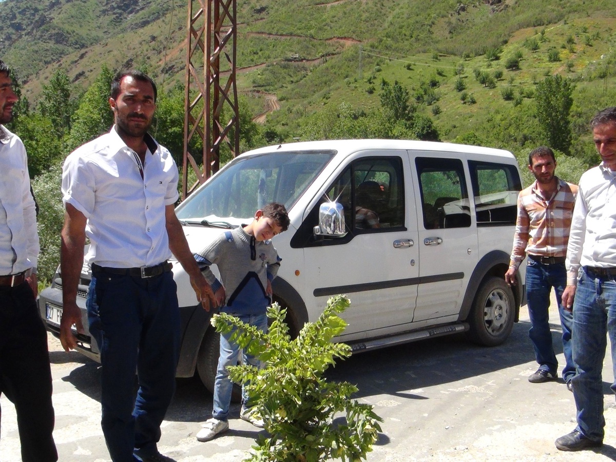 (Özel Haber) Bozuk Yola Fidan Diktiler