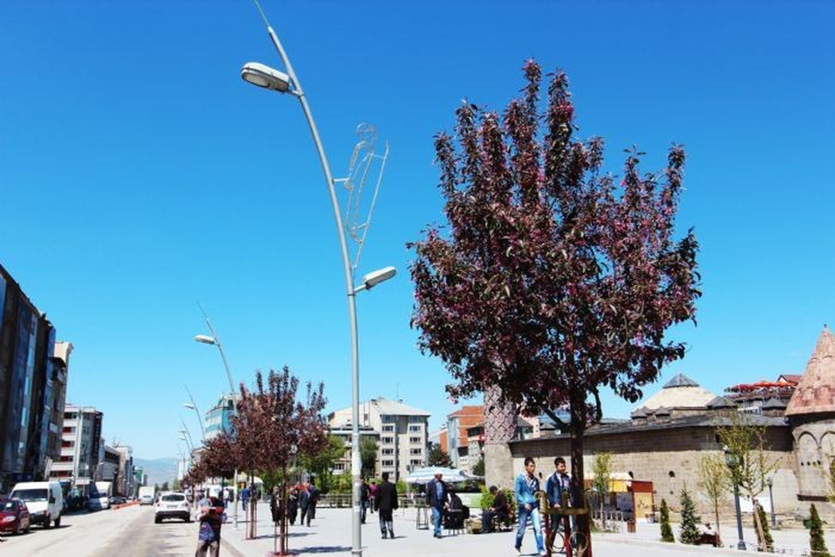 Süs Eriği ve Süs Elması Ağaçları Erzurum\'a Farklı Bir Atmosfer Kazandırdı