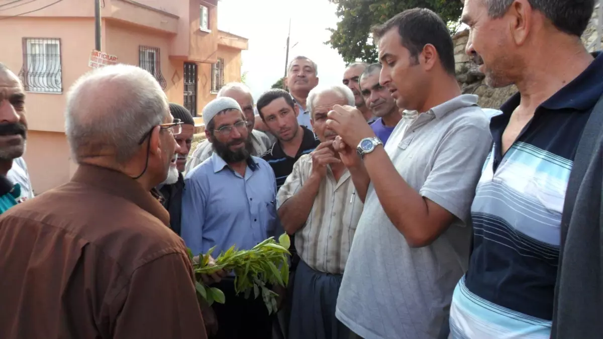 Toroslar'da Çiftçilere Budama Kursu Verildi