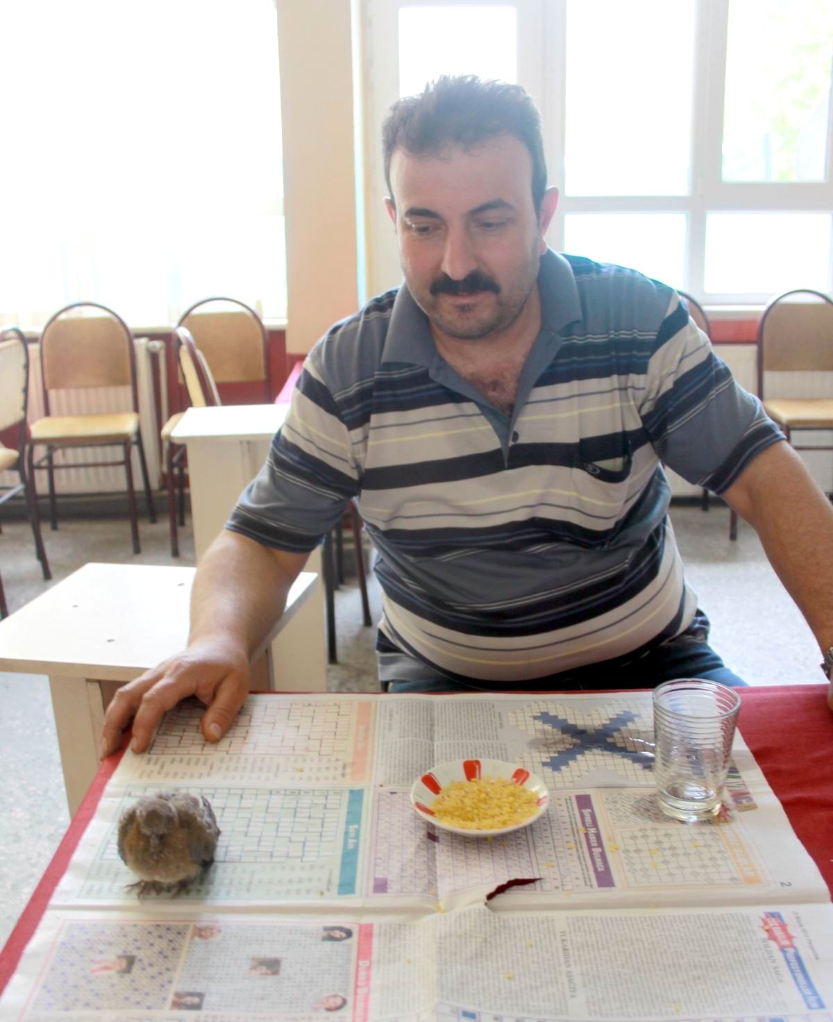 Yavru Kumruya Kahveci Sahip Çıktı