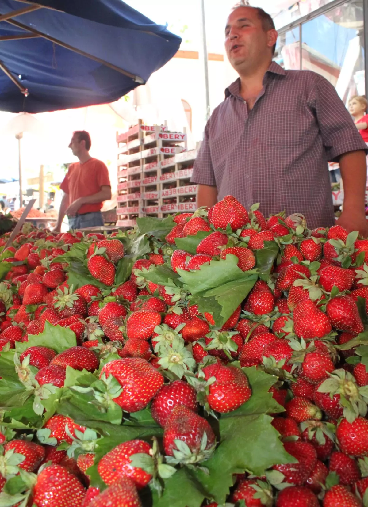Çileğin Faydaları Saymakla Bitmiyor