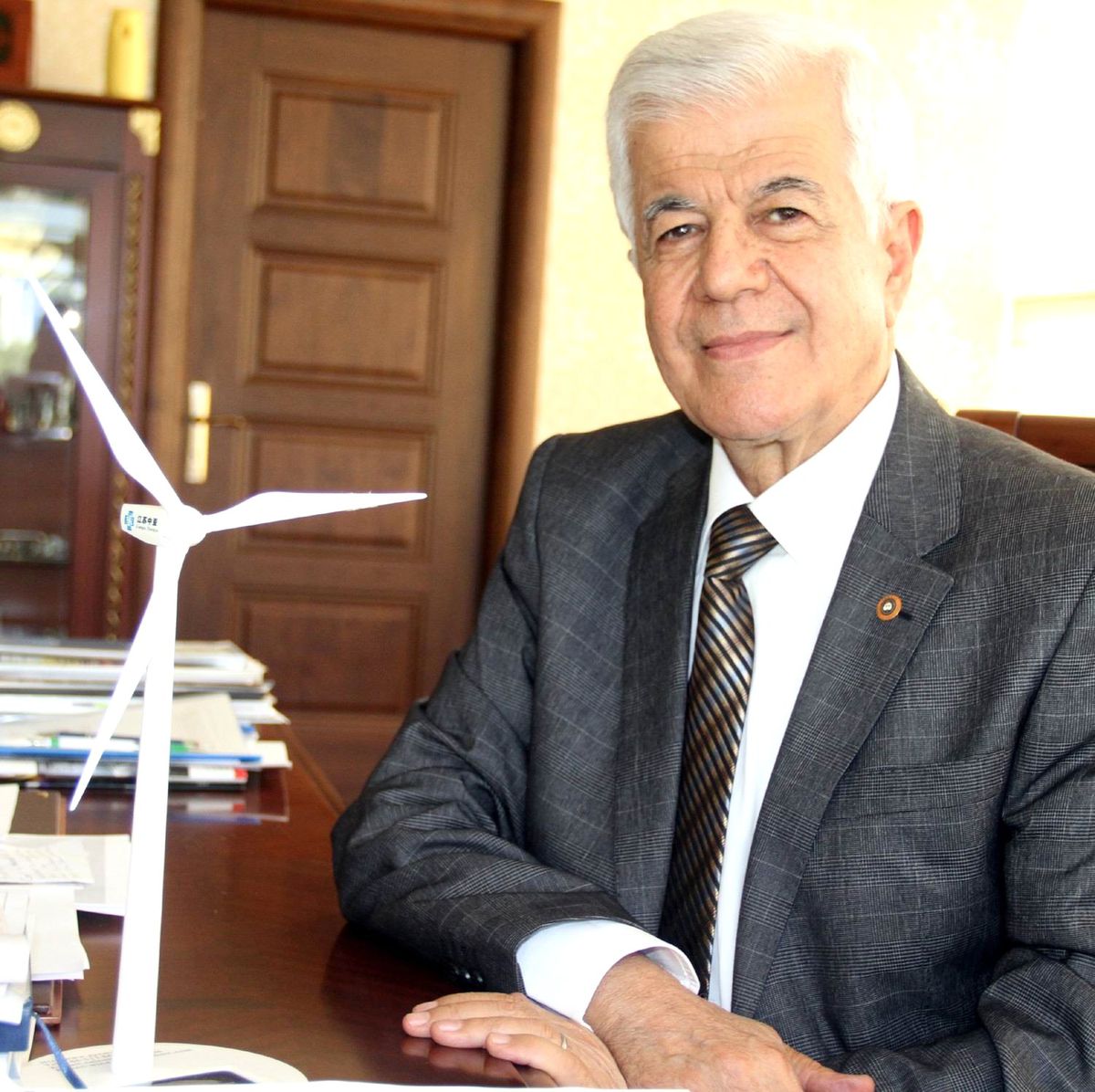 Çinliler Rüzgar Santrallerine de El Attı
