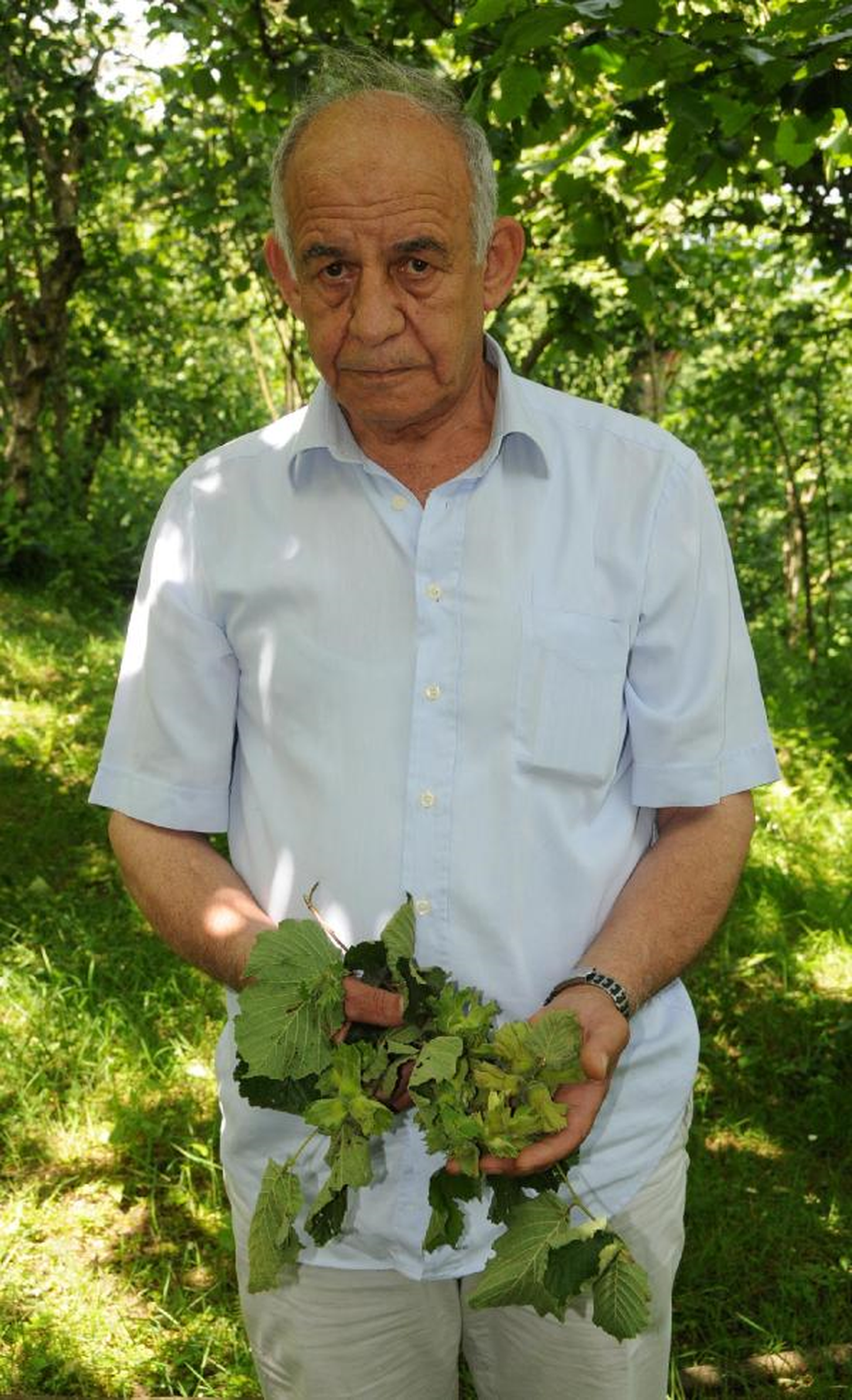 Fırtına, Fındık Ağaçlarına Zarar Verdi