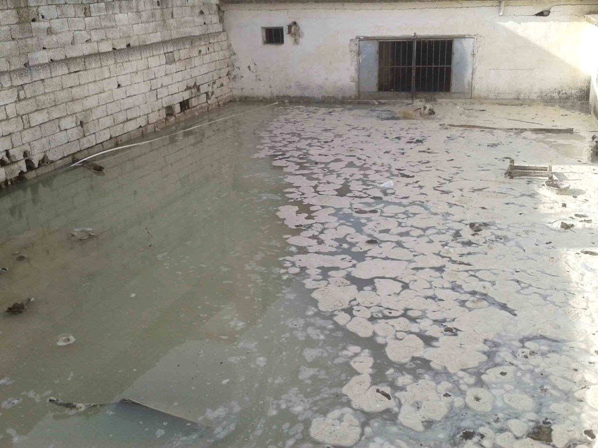 Patlayan Şehir Şebekesi Hayvan Ahırını Su Altında Bıraktı