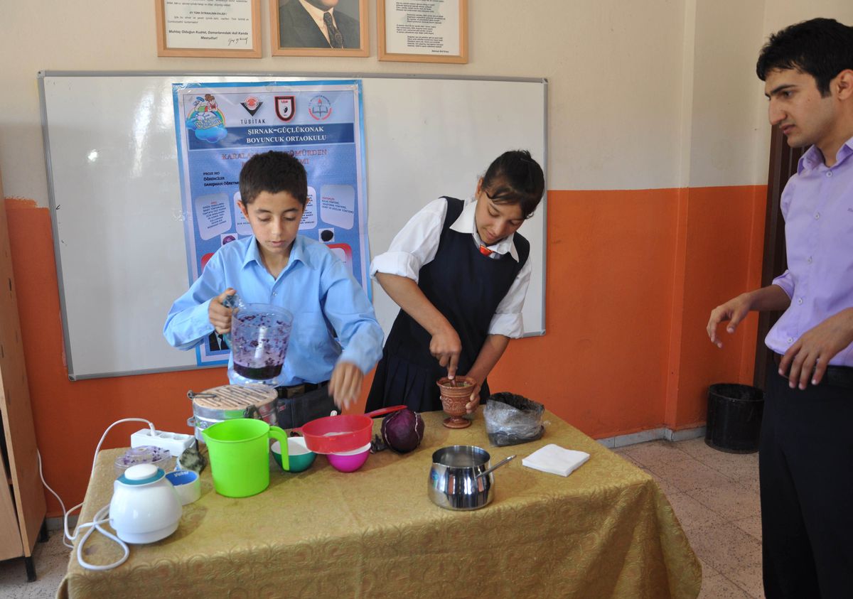 Şırnaklı Öğrencilerden Büyük Başarı