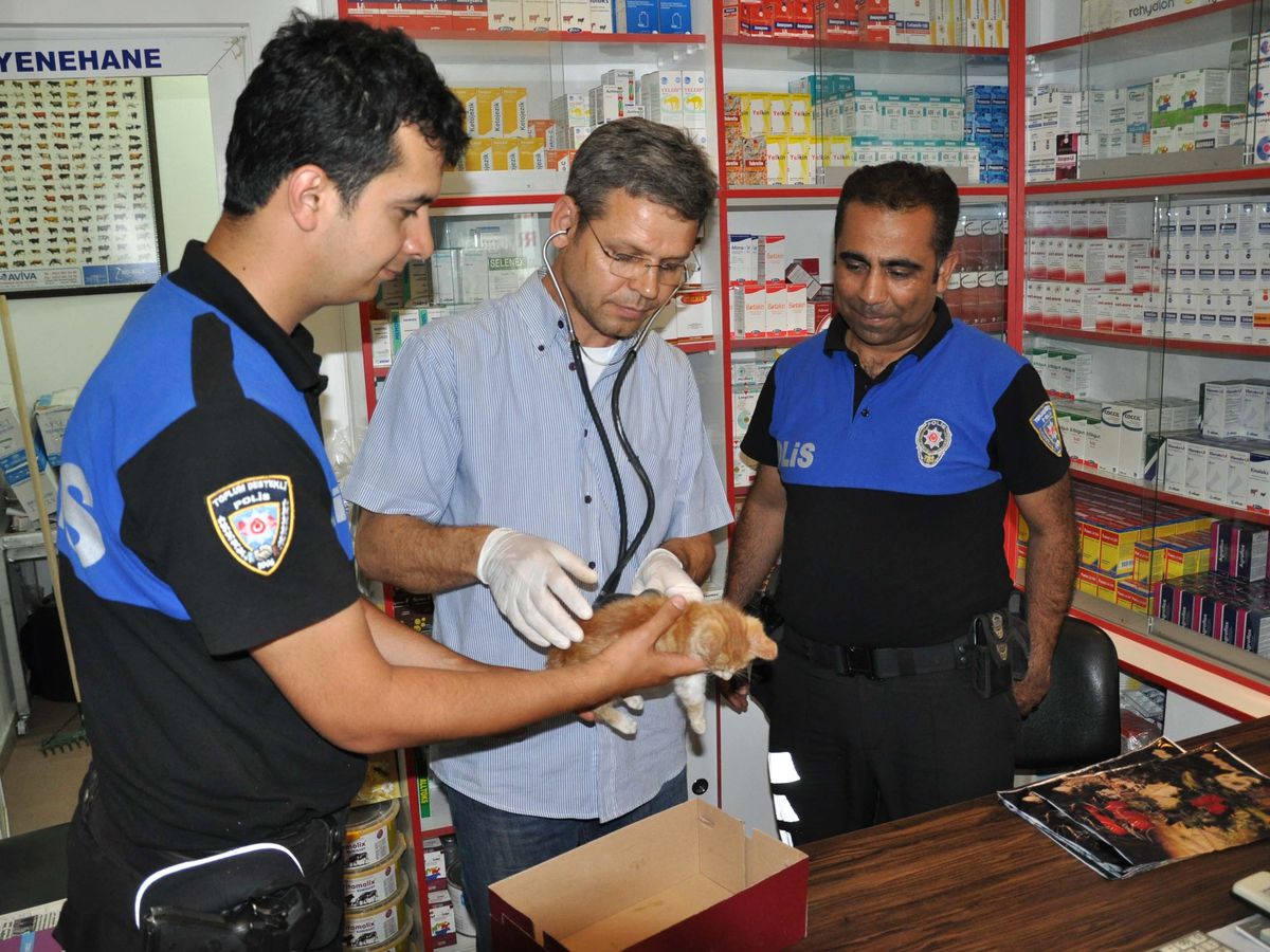 Yavru Kediye Polis Şefkati