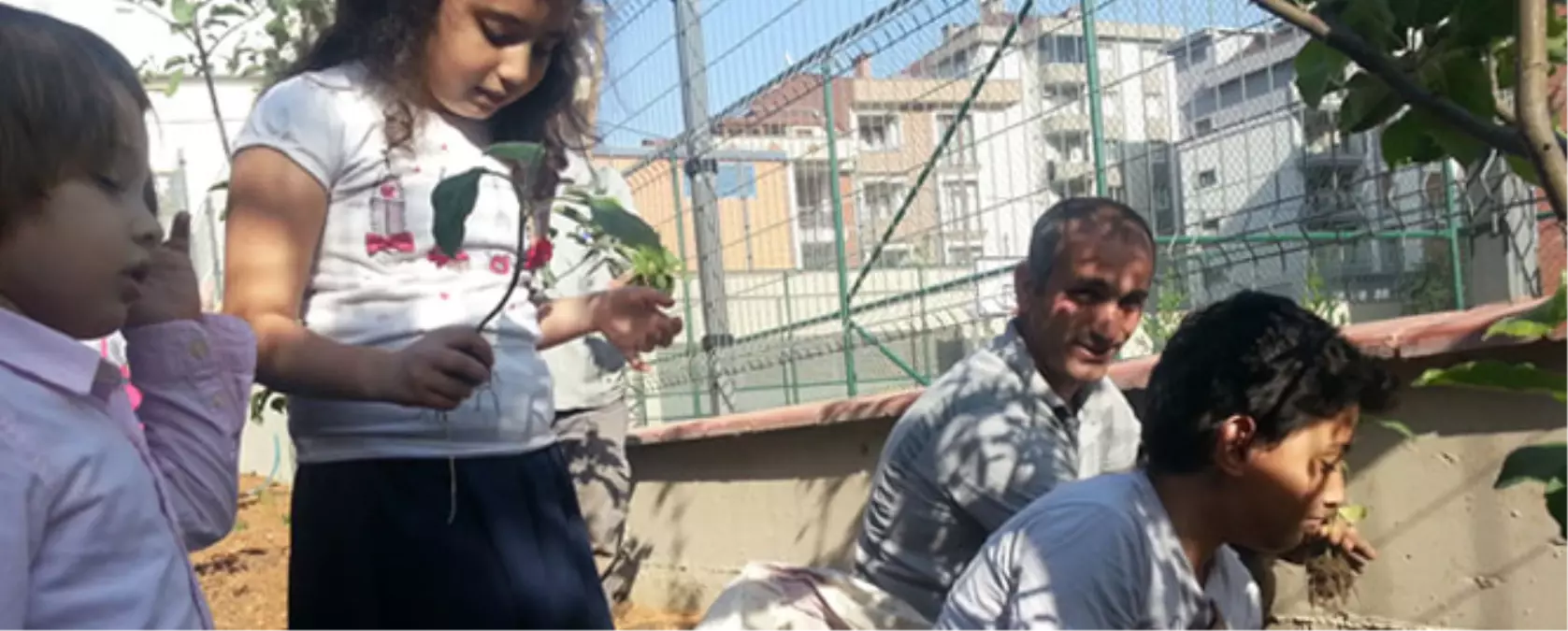 Adanuspark\'ta Organik Tarım