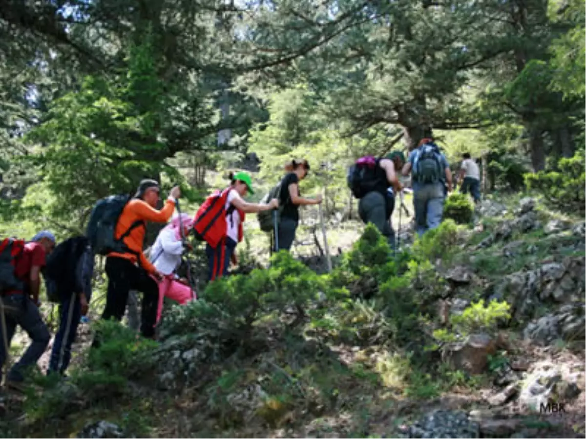 Doğaseverler Anamas Dağı'na Tırmandı