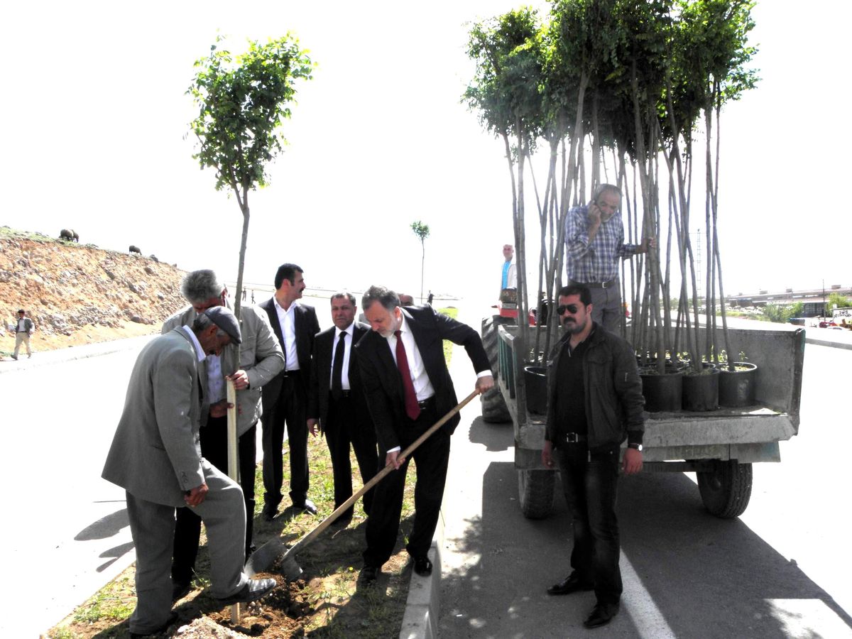 Erciş Belediyesi\'nden Fidan Dikimi