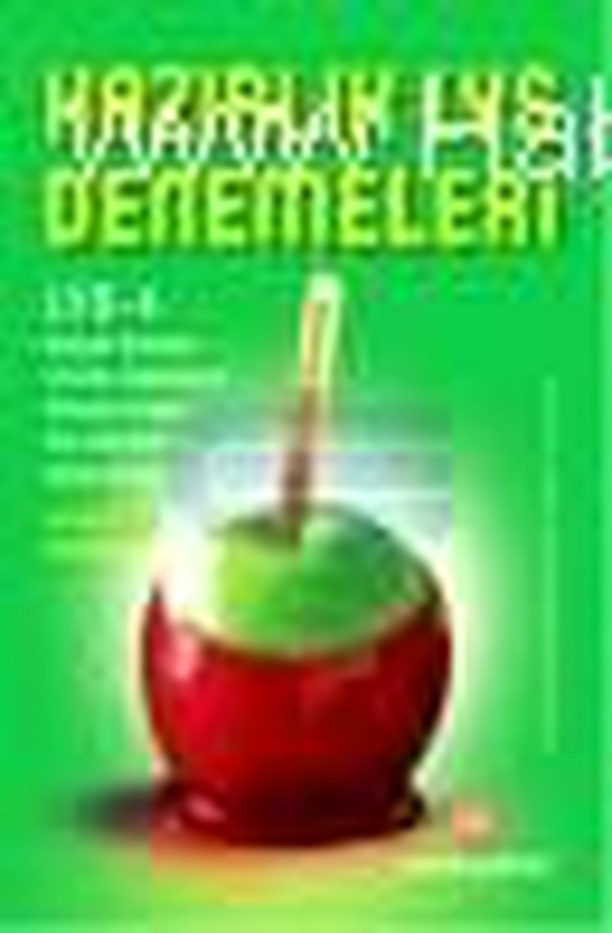 Hazırlık Lys - 4 Denemeleri (20 Deneme) Kitabı