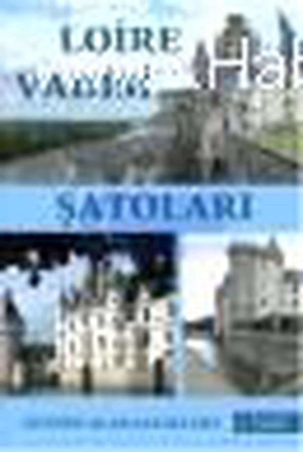 Loire Vadisi Şatoları Kitabı