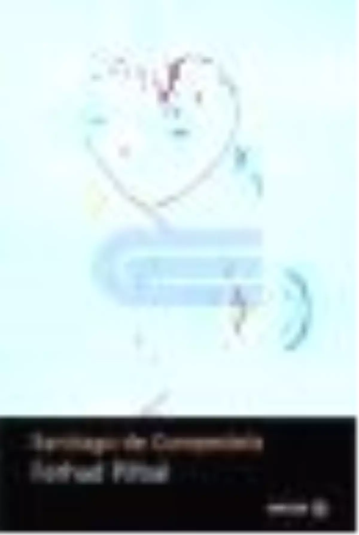 Santiago de Compestela Kitabı