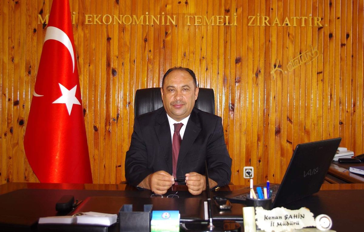 Kırşehir\'de Akkaraman Irkı Koç Dağıtılacak