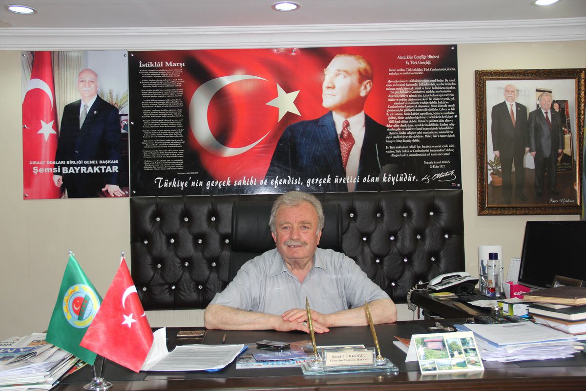 Alaplı\'da Sis Fındık Rekoltesini Düşürdü