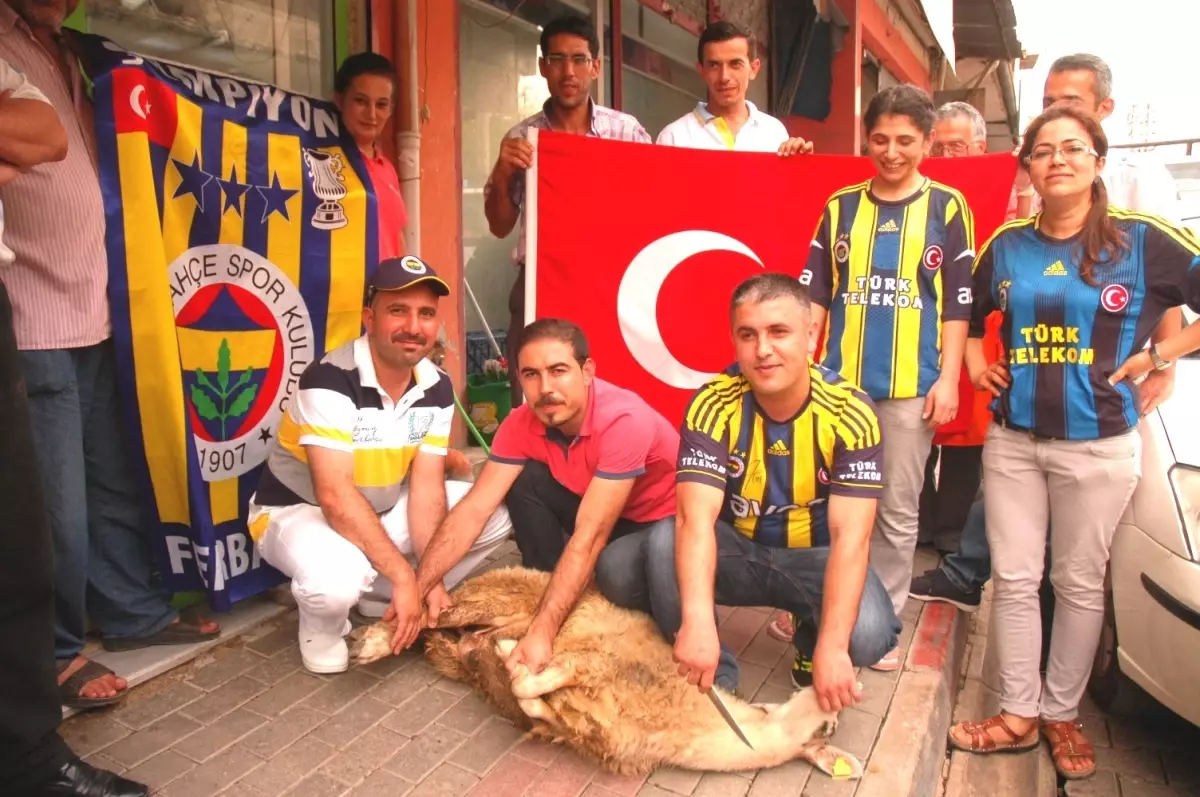 İstifa Haberine Kurban Kestiler