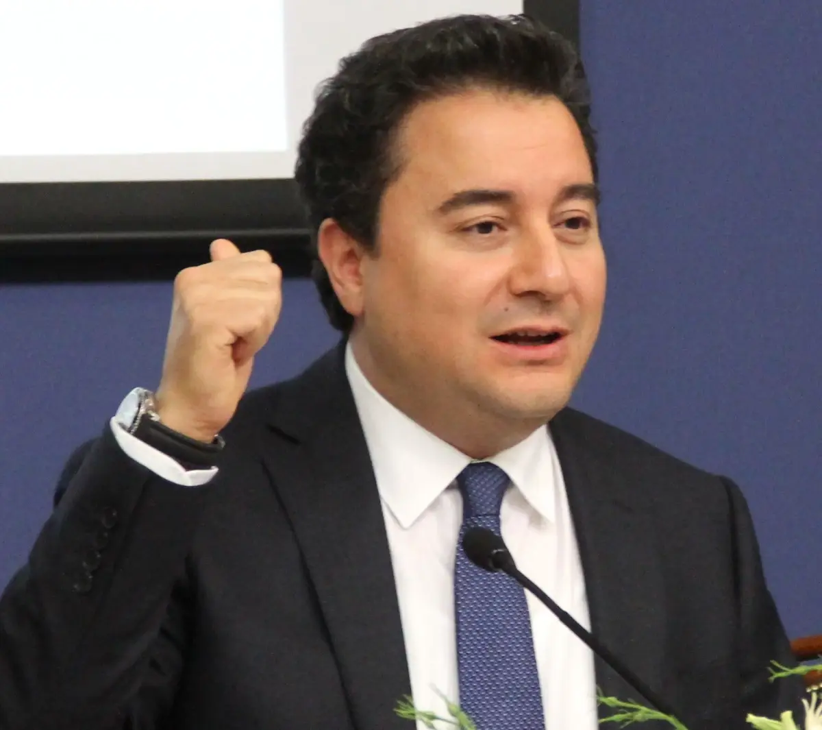 Babacan, Oecd\'nin Bakanlar Konseyi Toplantısına Katıldı