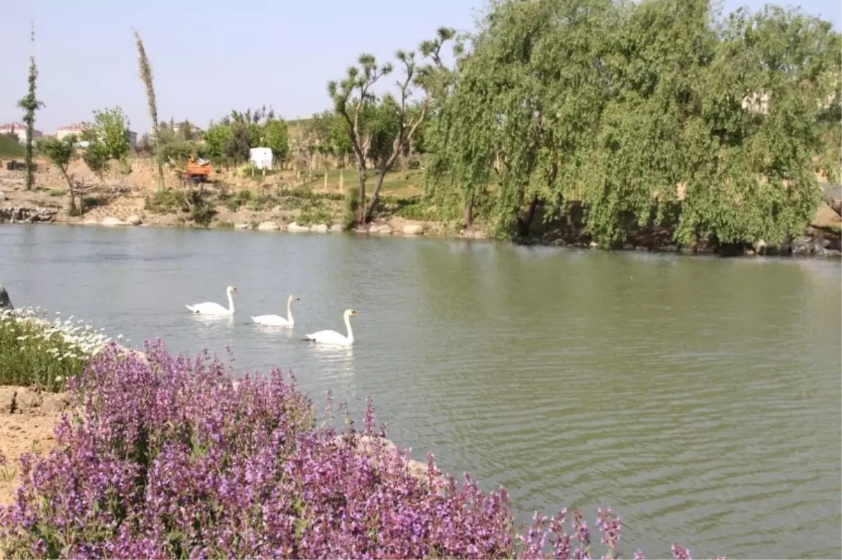 İstanbul\'un En Büyük Botanik Parkı Pazar Günü Açılıyor