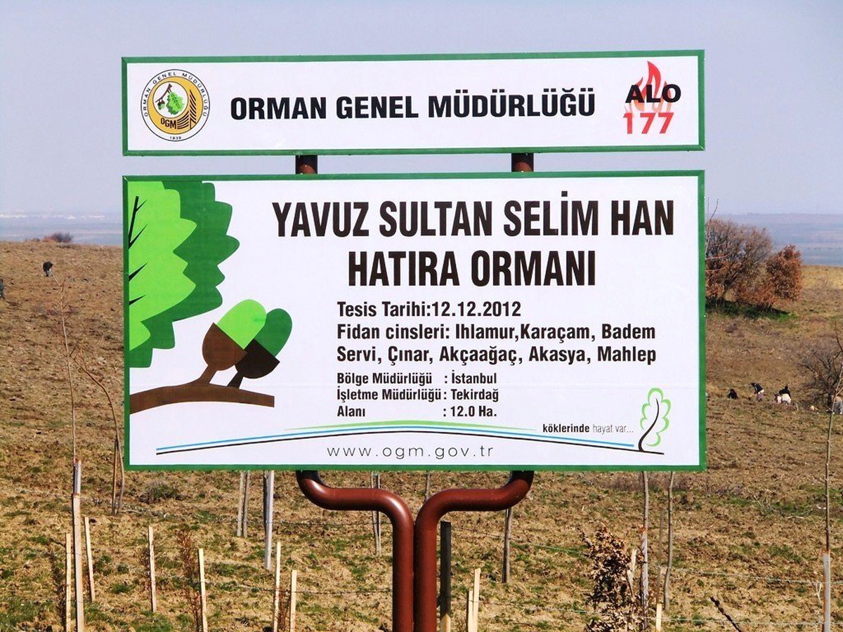 Köprünün Yolu, Yavuz Sultan Selim\'in Vefat Ettiği Yerden Geçecek